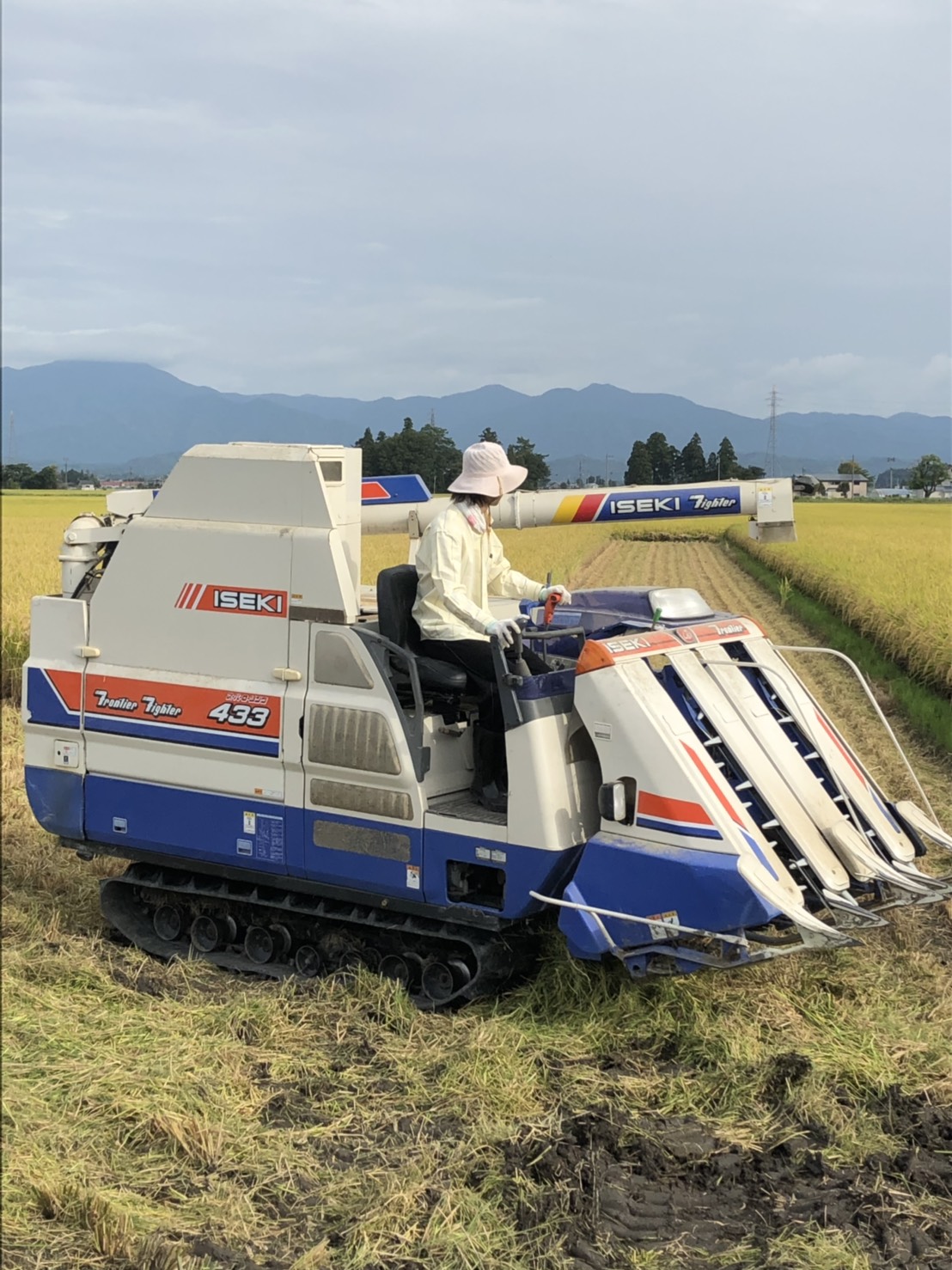 ピログ vol.3 #Rice harvesting