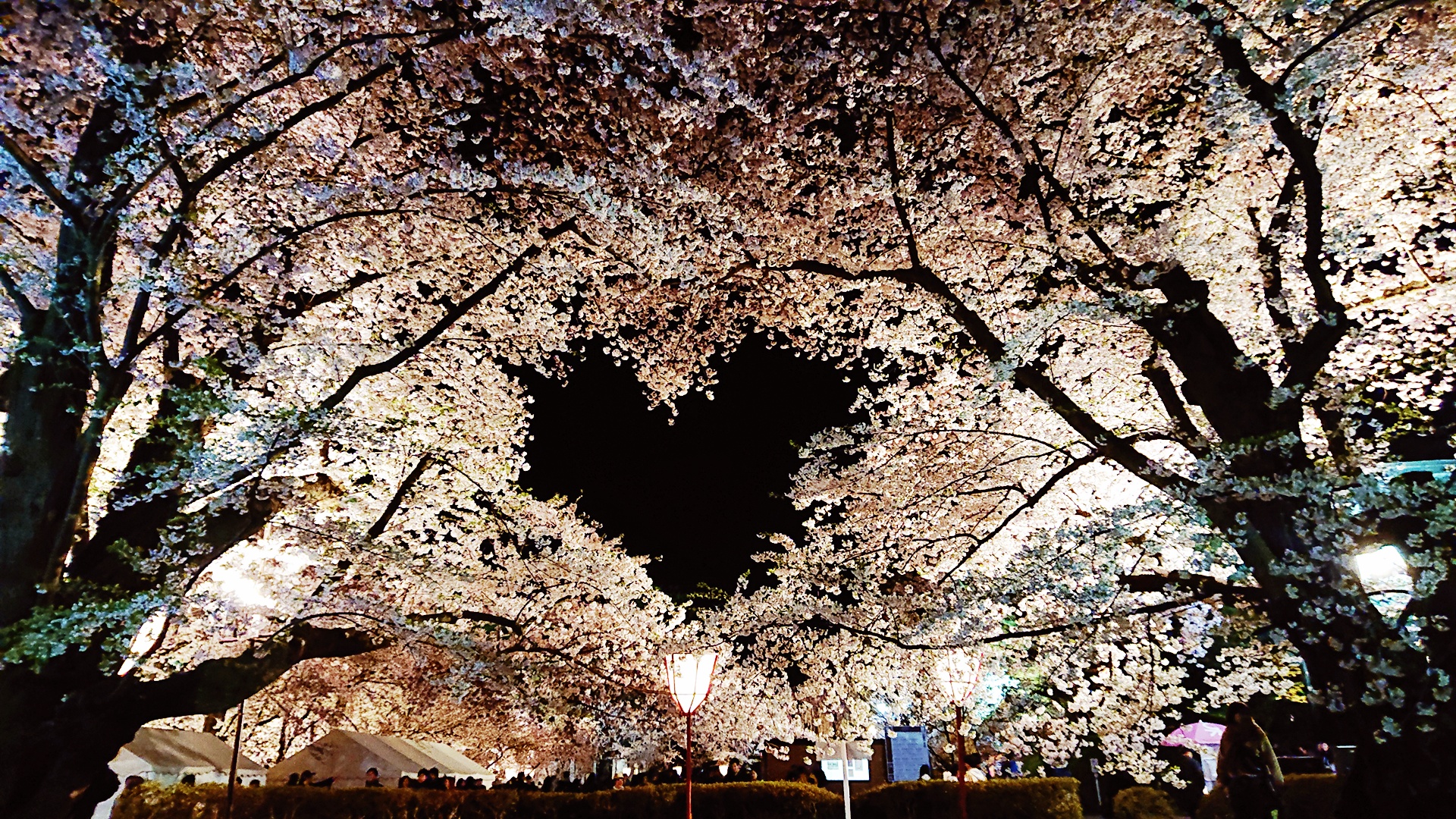 春の近づき❀