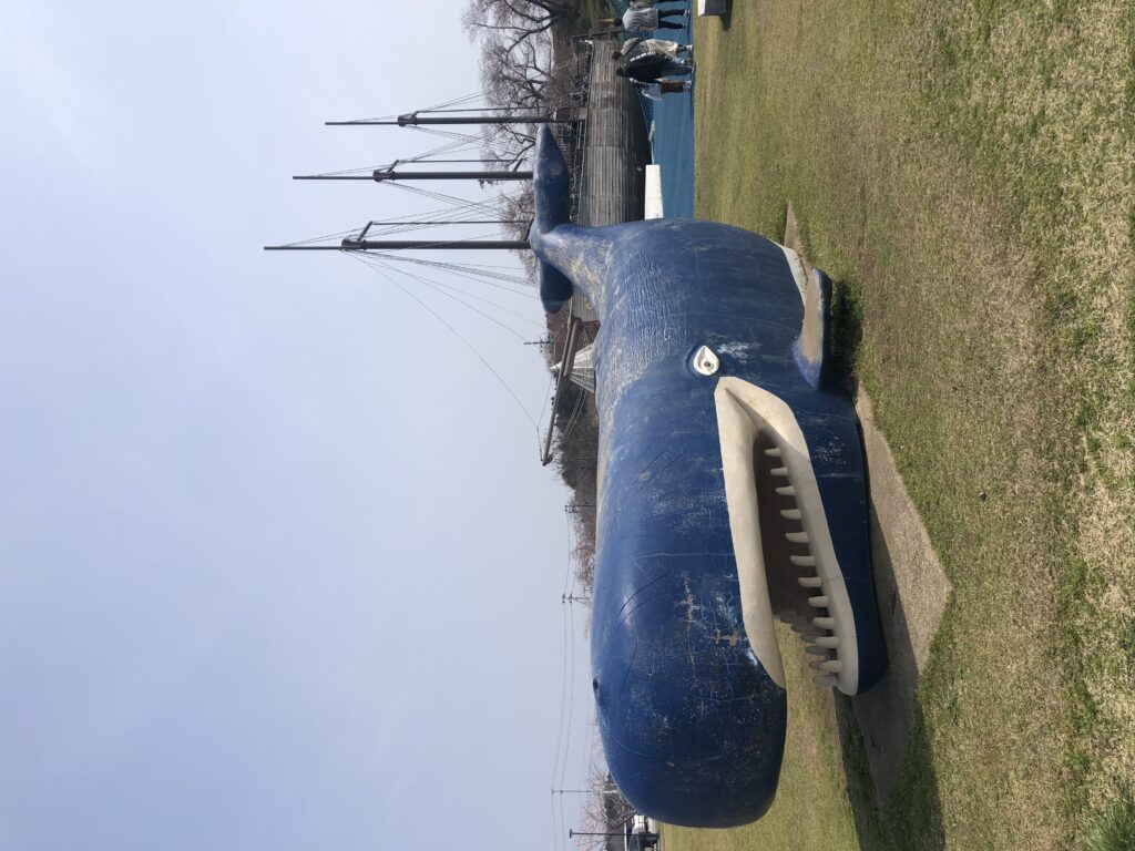 IMG_2421-1024x768.jpeg