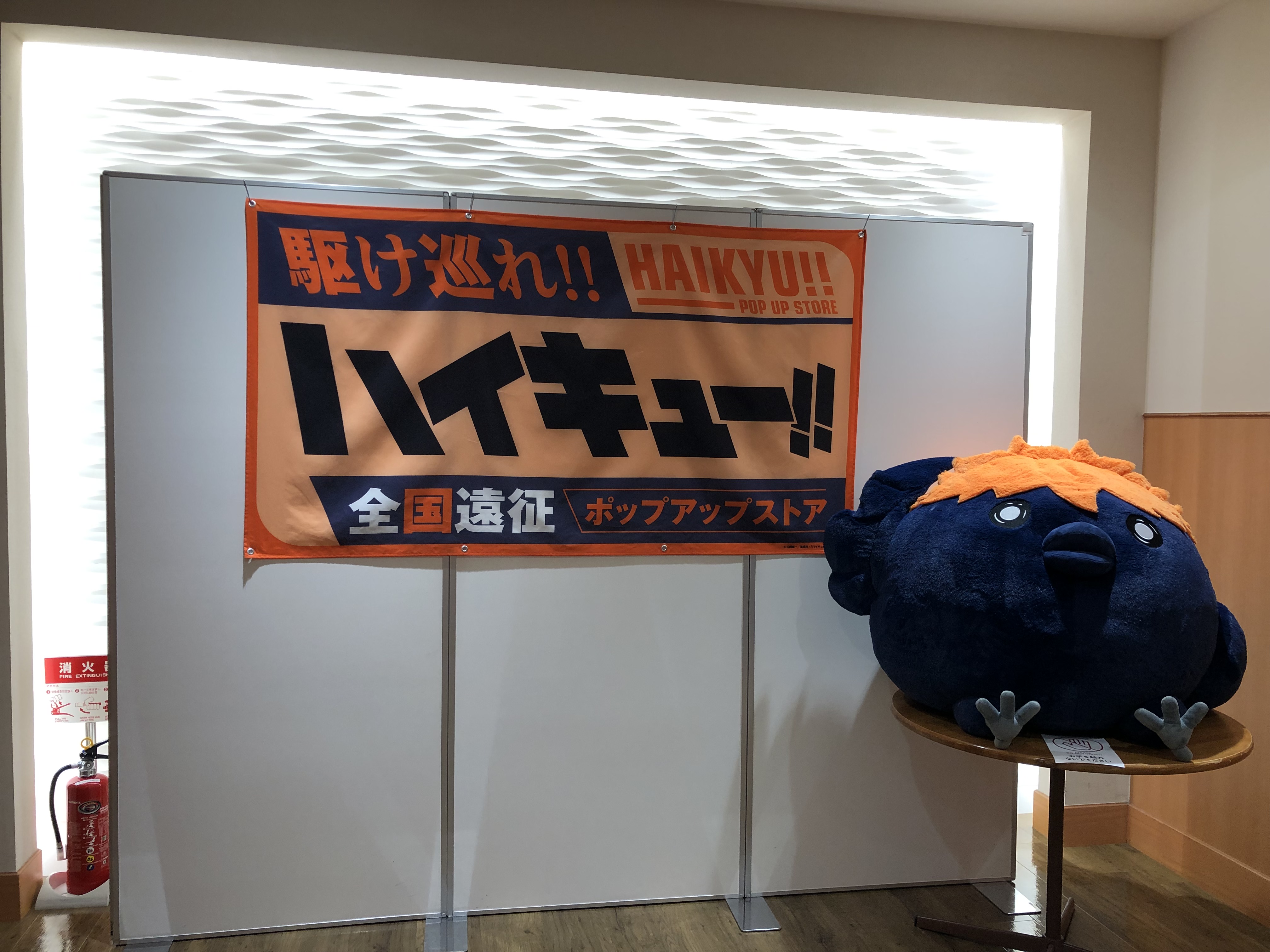 ハイキュー！🏐