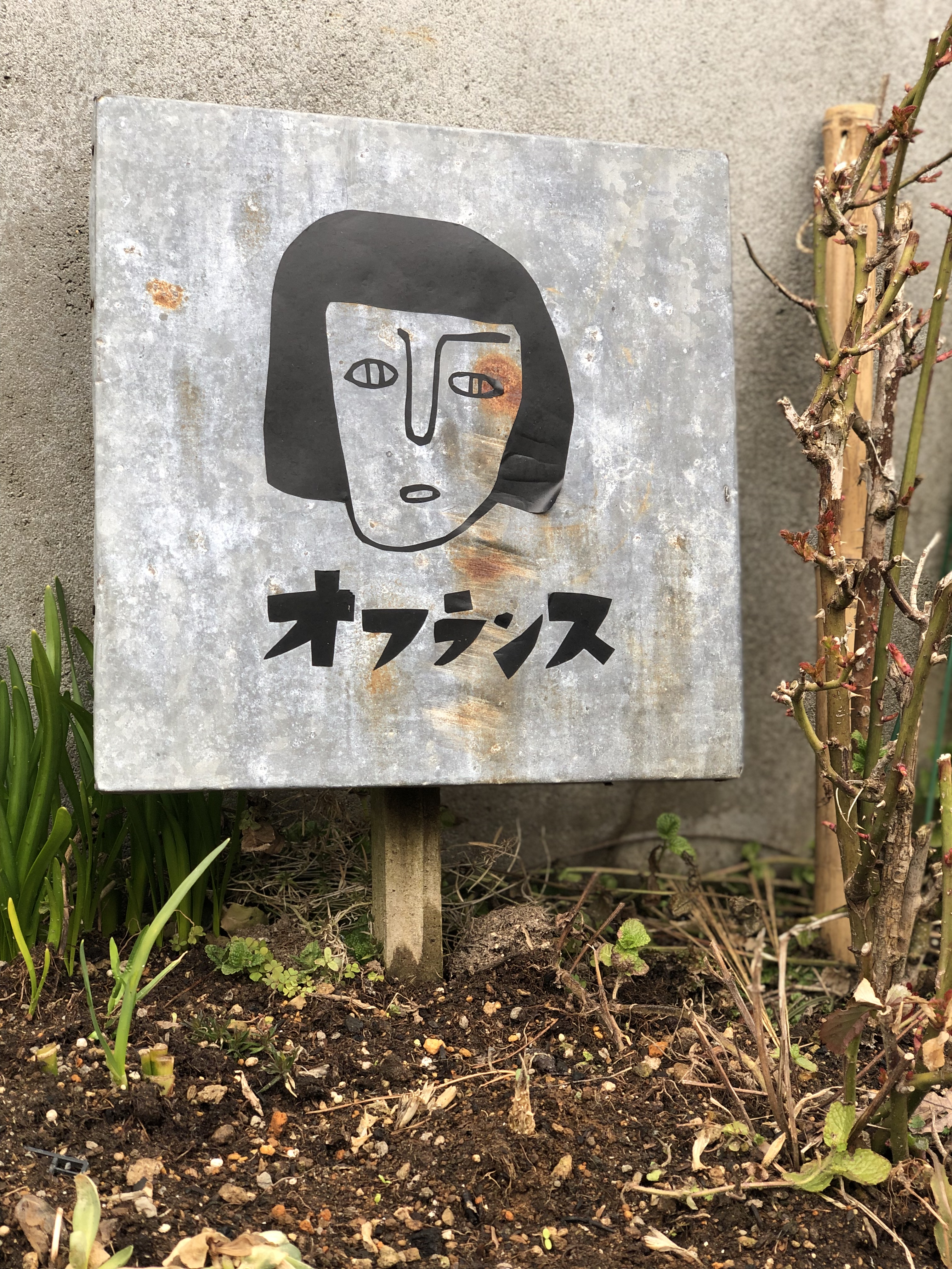 カフェ☕️