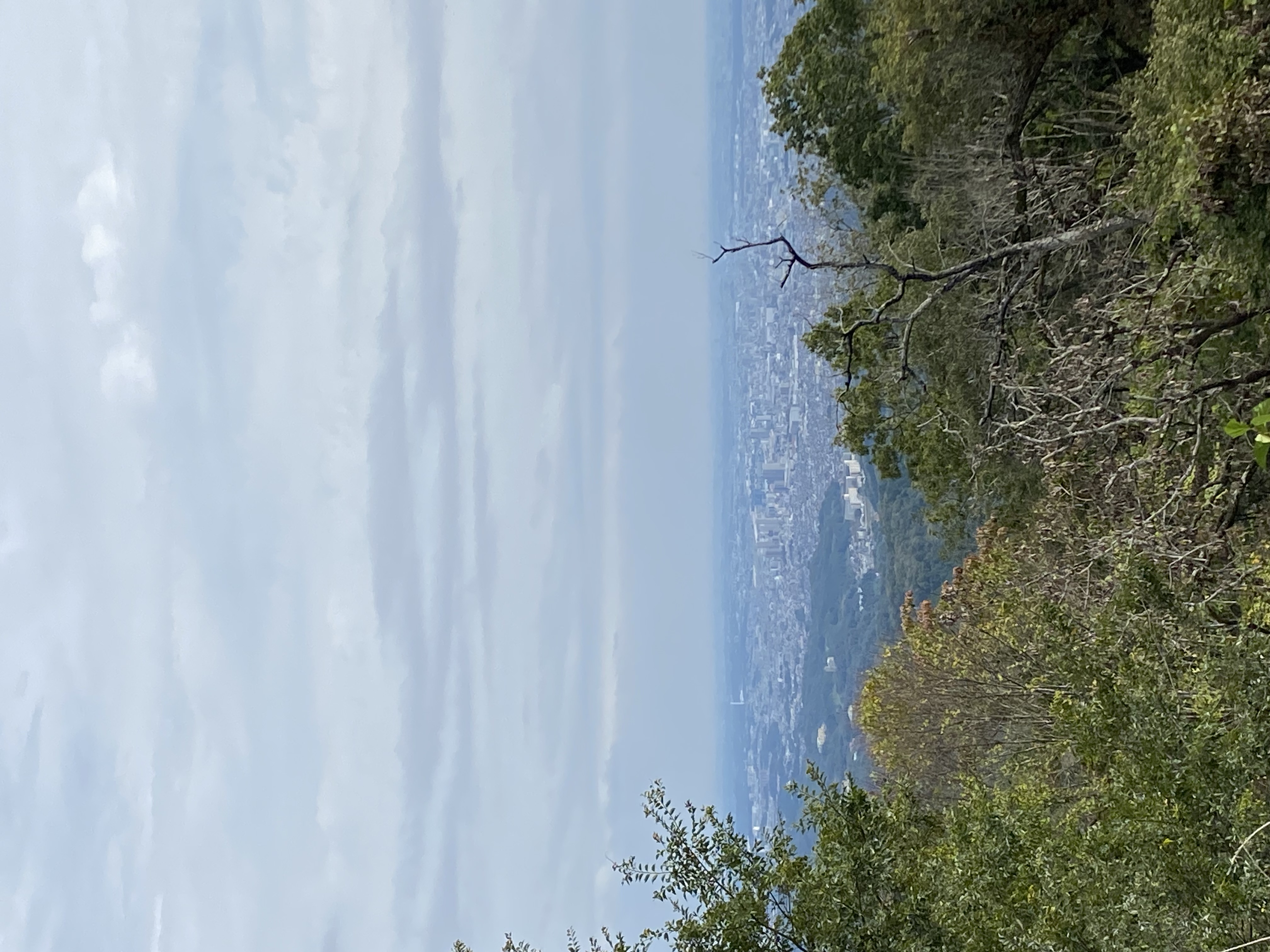 高尾山　