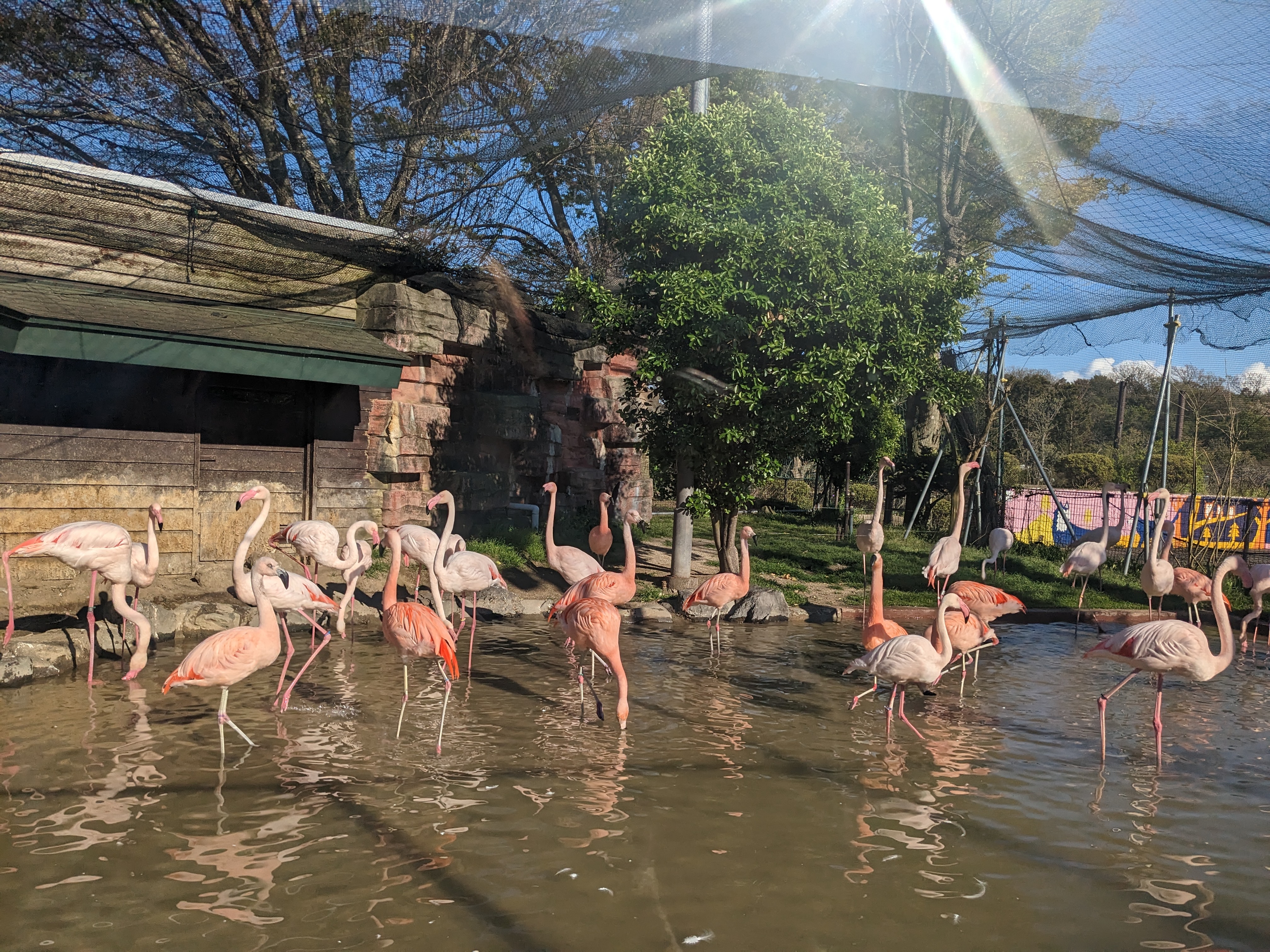 大森山動物園?